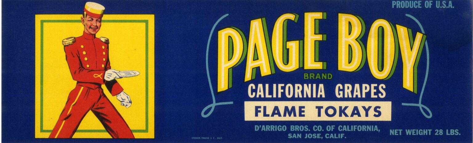 Page Boy Page Boy